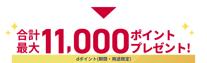 合計最大11,000ポイントプレゼント！ dポイント(期間・用途限定)