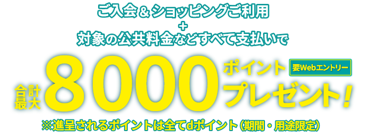 ご入会＆ショッピングご利用 ＋ 対象の公共料金などすべて支払いで 合計最大8,000ポイントプレゼント！ 要Webエントリー ※進呈されるポイントはすべてdポイント（期間・用途限定）